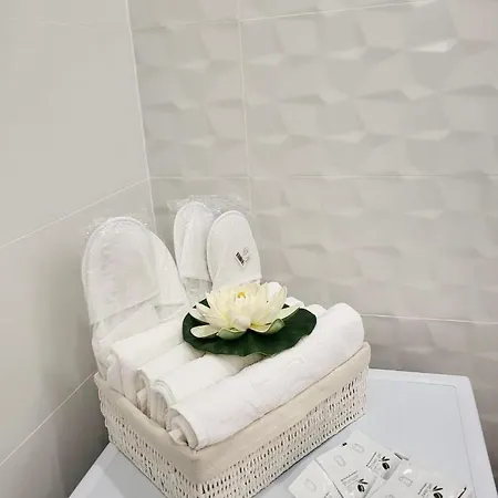 Hils Pallady Lyly Bucureşti